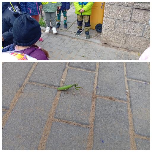 navstevazahradnictvi2